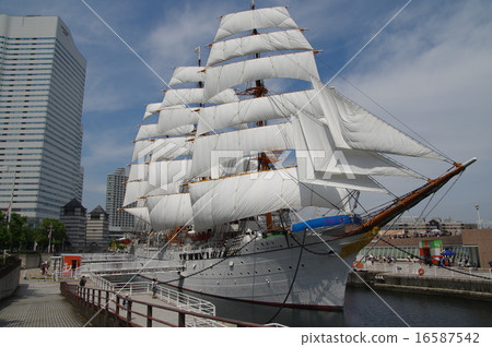 Nippon Maru 16587542