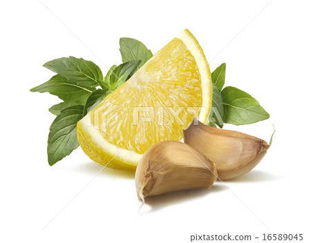 Lemon basil garlic segments ingredient isolated 16589045