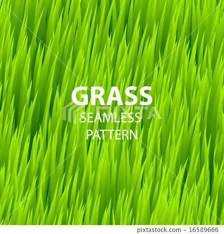 Green grass seamless pattern. Vector illustration - Stock Illustration ...