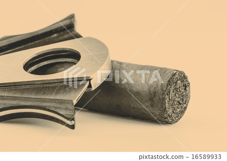 Cigar and cutter on a white background 16589933