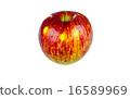 Red Fuji Apple on white background 16589969