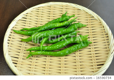 Sweet Fushimi length paddle Sweet Fushimi length paddle 16590734