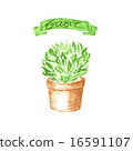 Basil in terra cotta pot. Watercolor illustration. 16591107