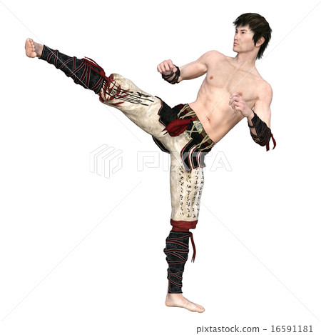 Kung Fu Master 16591181