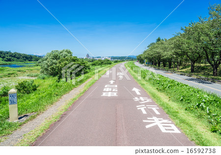 多摩河自行車道 16592738