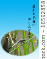 Shiokaratombo 16592858