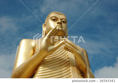 Golden Buddha at Dambulla,Sri Lanka,Asia 16593341