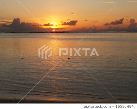 GUAM Guam GUAM Guam 16593494