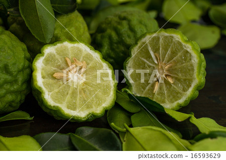 Kaffir Lime fruit, cut in half the seeds inside. Kaffir Lime fruit, cut in half the seeds inside. 16593629