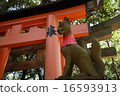 鳥居3 16593913