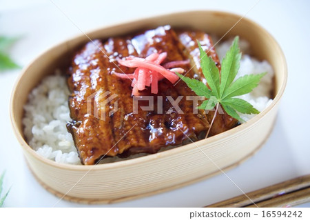 鰻魚盒午餐 16594242