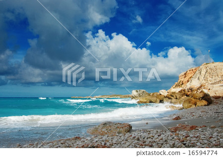 Summer beach Summer beach 16594774