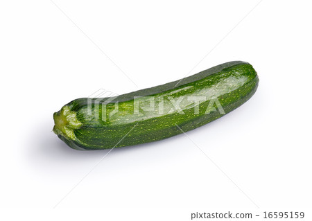 Squash Squash 16595159