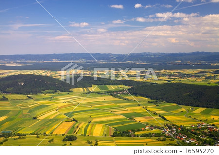 Fields 16595270