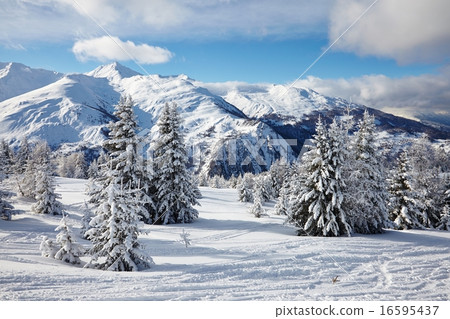 Winter Landscape 16595437