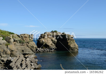 洛基海岸 16596262