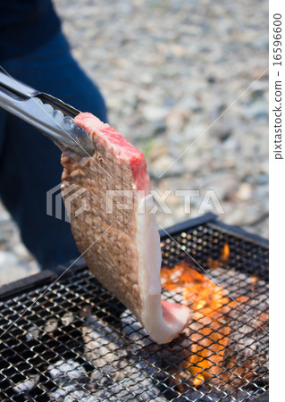 烤肉BBQ室外淨肉 烤肉BBQ室外淨肉 16596600