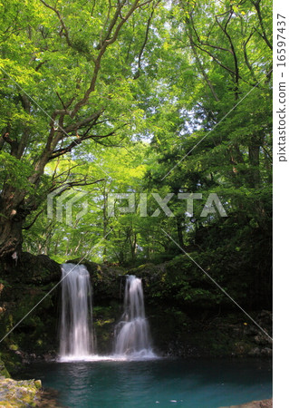 Waterfall at Kaneyama 16597437