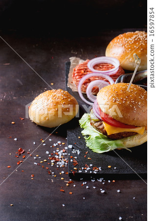 Homemade Burger 16597854