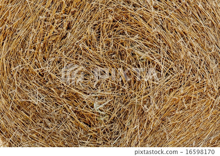 Haystack Haystack 16598170