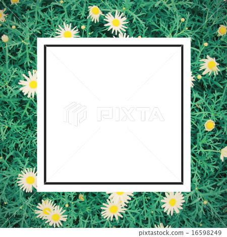 Daisy flowers background and design frame 16598249