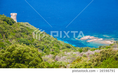 Genoese Campanella tower, Corsica island 16598791