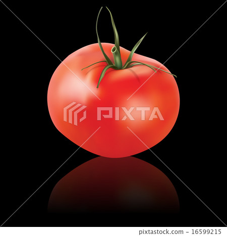 vector tomato isolated on black background 16599215