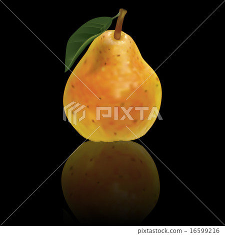 vector pear isolated on black background vector pear isolated on black background 16599216