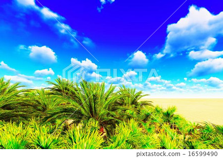 African oasis 16599490