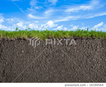Soil, grass and sky nature background Soil, grass and sky nature background 16599564