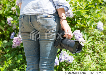 A woman with a camera A woman with a camera 16599758