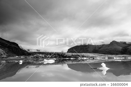Fjallsarlon glacier lagoon 16600004