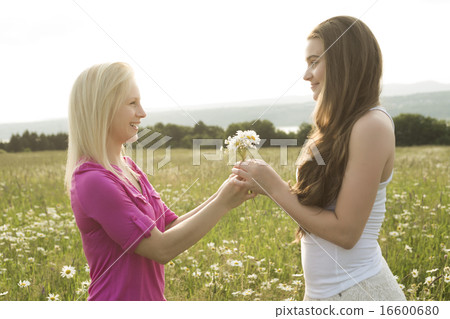 some friends having fun in a daisy field some friends having fun in a daisy field 16600680