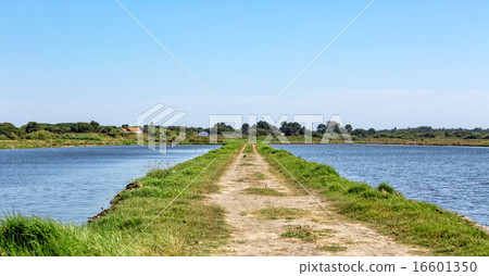 Summer Landscape with Lake and Road 16601350