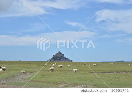 Mont-Saint-Michel and a flock of sheep Mont-Saint-Michel and a flock of sheep 16601741