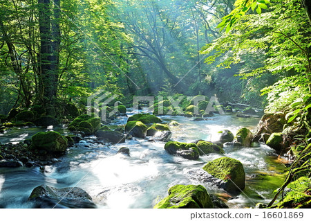  Minamizawa春天春天 16601869