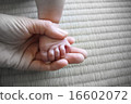 Little little legs 16602072