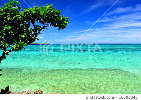 Mt. Fukumajima遙遠的海島的風景照片在沖繩島 16603040