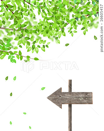 Fresh green and guide plate Fresh green and guide plate 16605457
