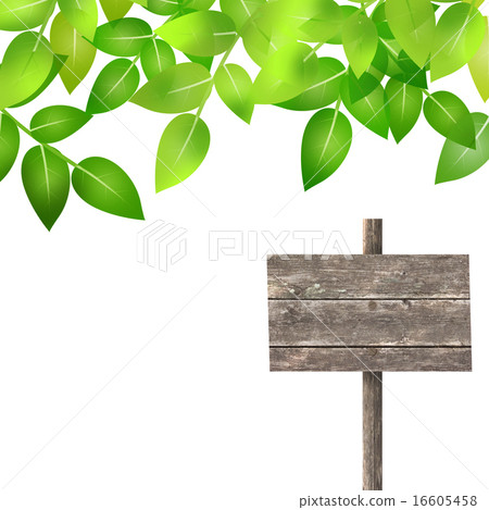 Fresh green and bulletin board Fresh green and bulletin board 16605458