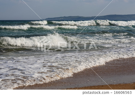 Black sea coast Black sea coast 16606563