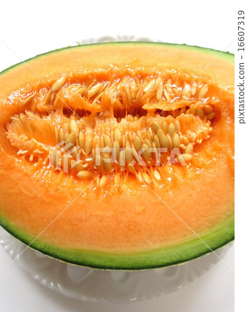 來自北海道的塔爾卡甜瓜 16607319