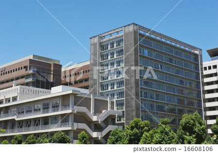 University image University image 16608106