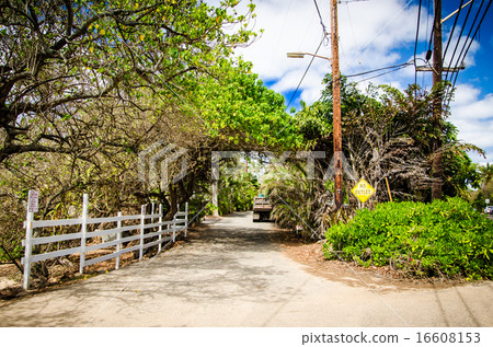 Northern Shore's country road Northern Shore's country road 16608153