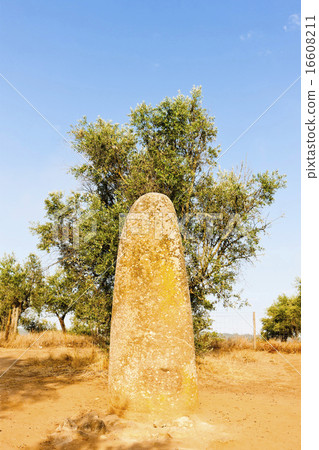 menhir in Almendres near Evora, Alentejo, Portugal 16608211