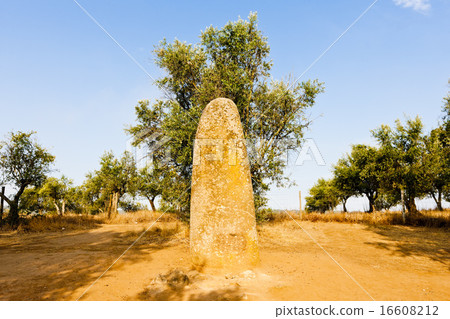 menhir in Almendres near Evora, Alentejo, Portugal 16608212