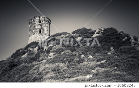 Ancient Genoese Parata tower. Ajaccio, Corsica 16608243
