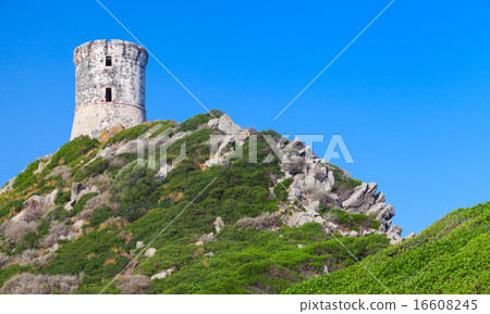 La tour Parata. Ancient Genoese tower, Corsica 16608245