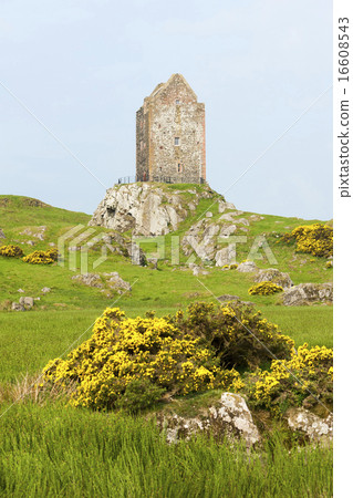 Smailholm Tower near Kelso, Scottish Borders Smailholm Tower near Kelso, Scottish Borders 16608543
