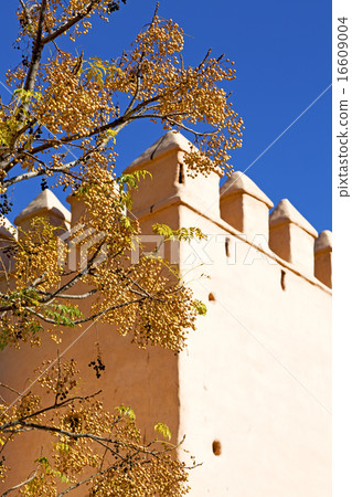 brown old ruin in flower morocco and brown old ruin in flower morocco and 16609004